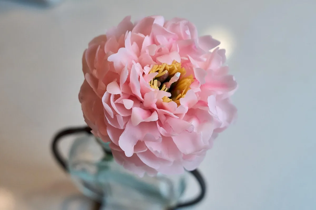 Realistic Pink Peony Candle